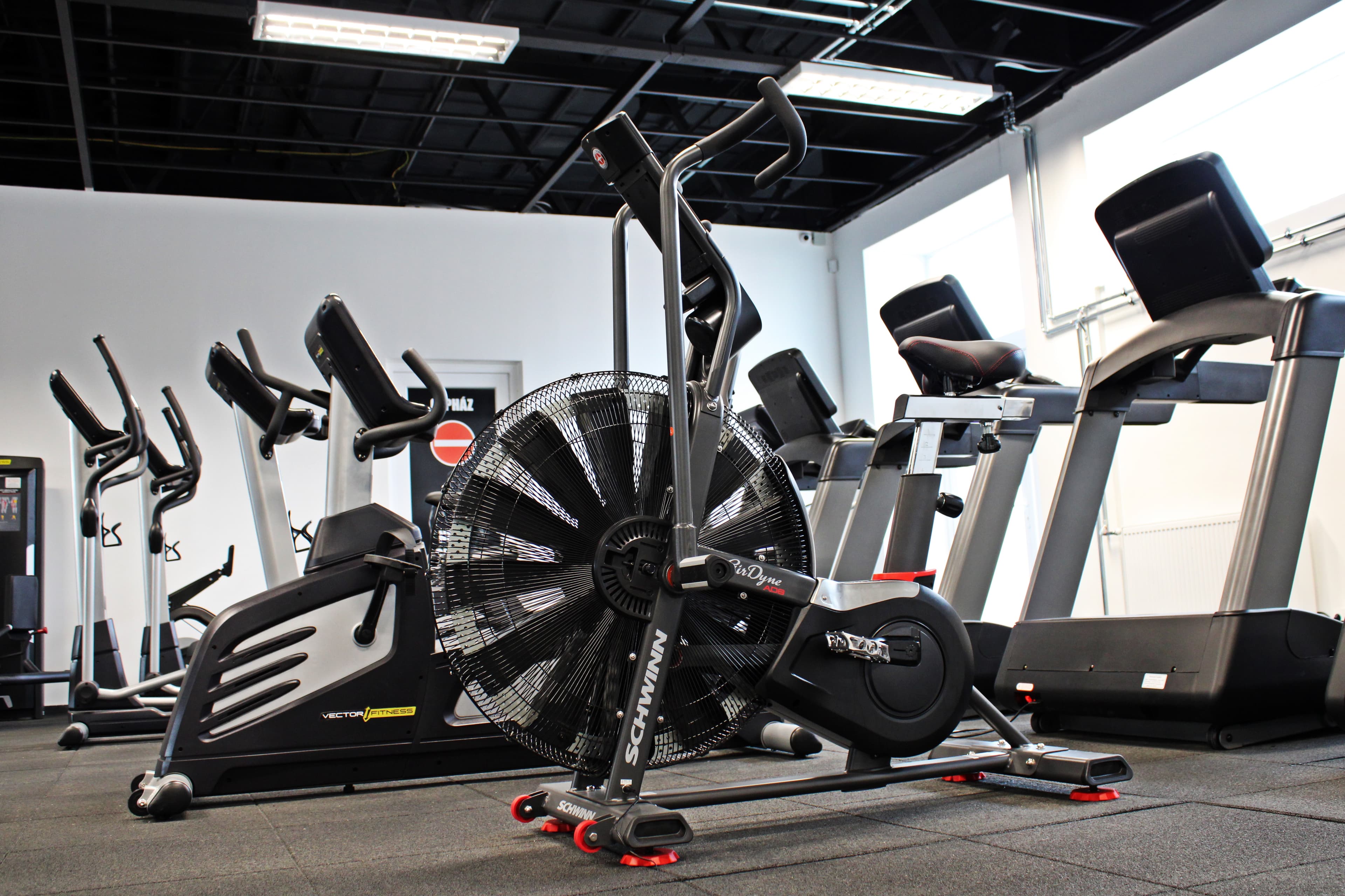 Kronosz Gym Gallery 23