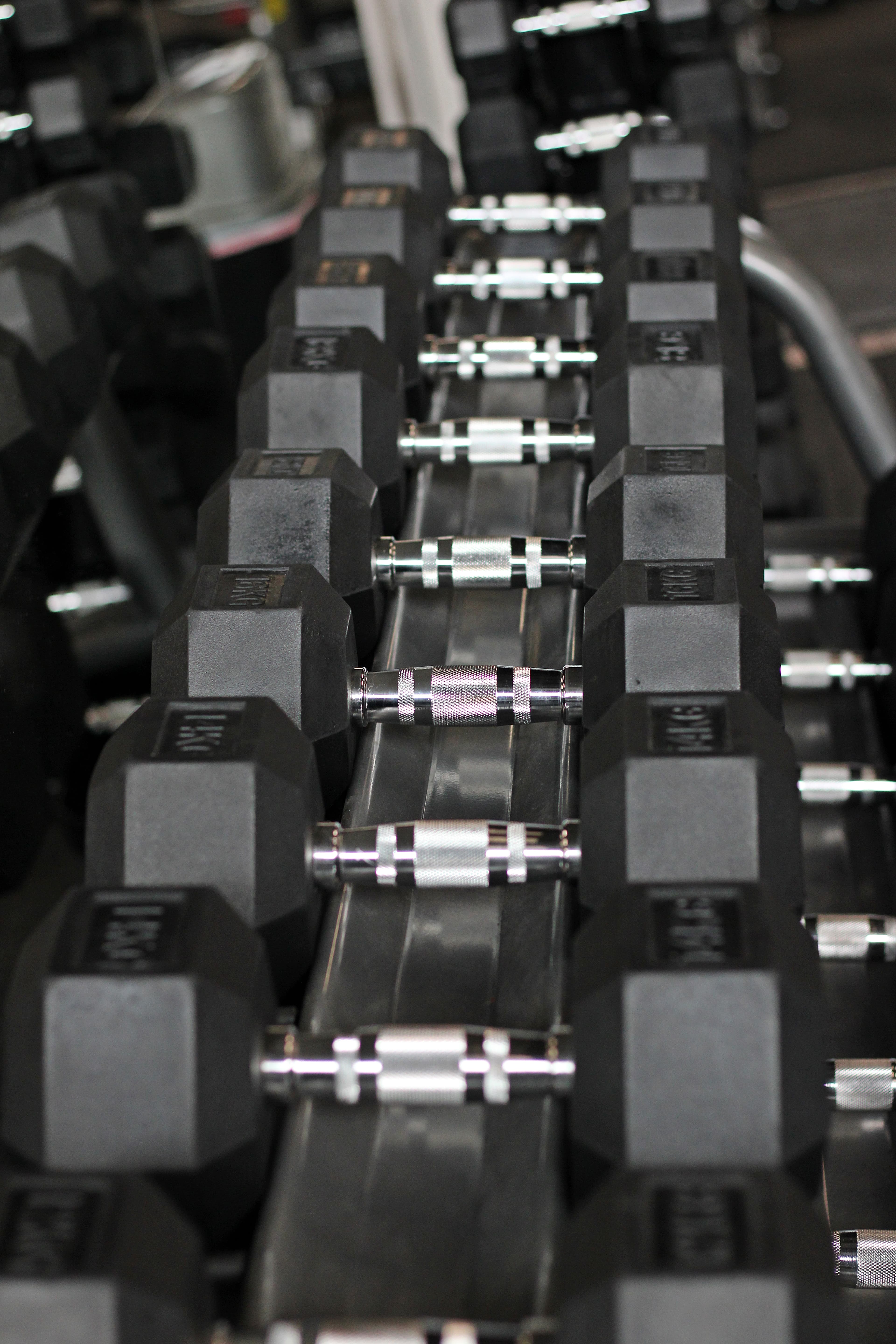 Kronosz Gym Gallery 24